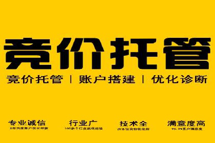 创新营销手段：百度包年竞价的未来趋势